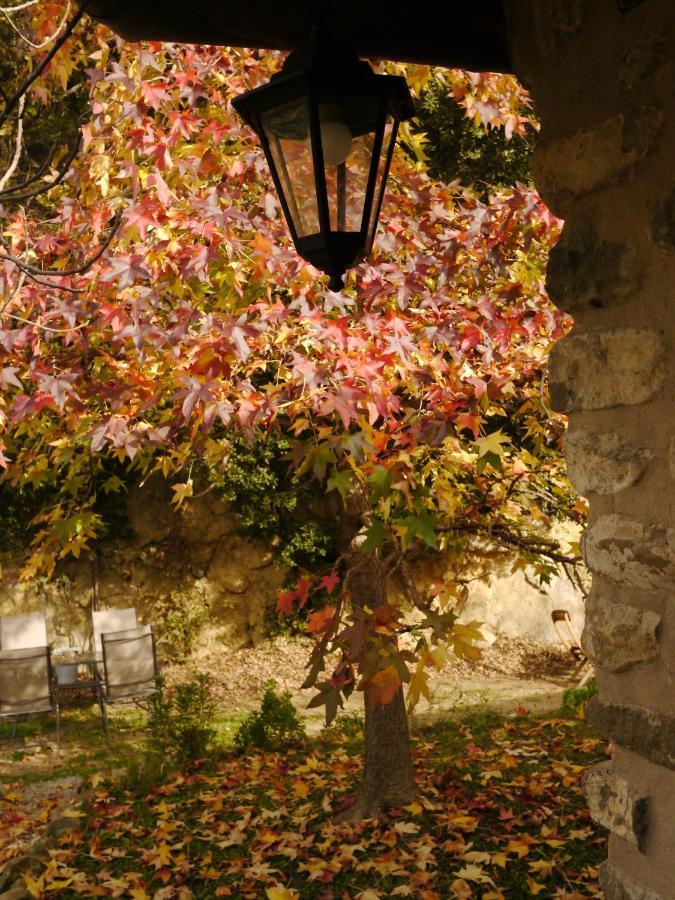 Mas Franch Leilighet San Miguel de la Pineda Eksteriør bilde
