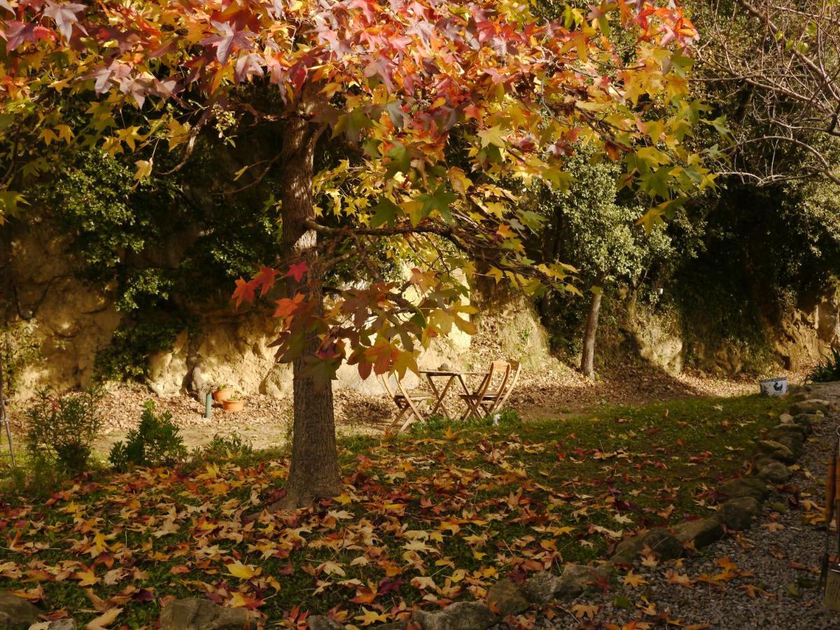 Mas Franch Leilighet San Miguel de la Pineda Eksteriør bilde